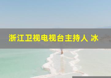 浙江卫视电视台主持人 冰